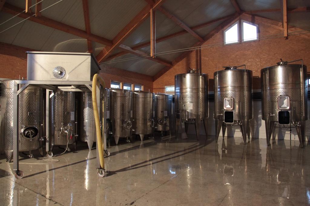 Winzerzimmer - Weingut Tinhof Kismarton Kültér fotó